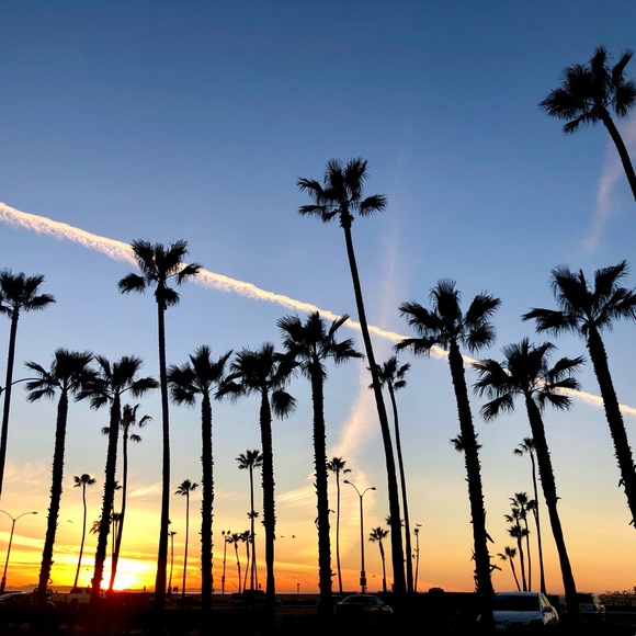 Meet your Posher, Sandra - Picture 1 of 1